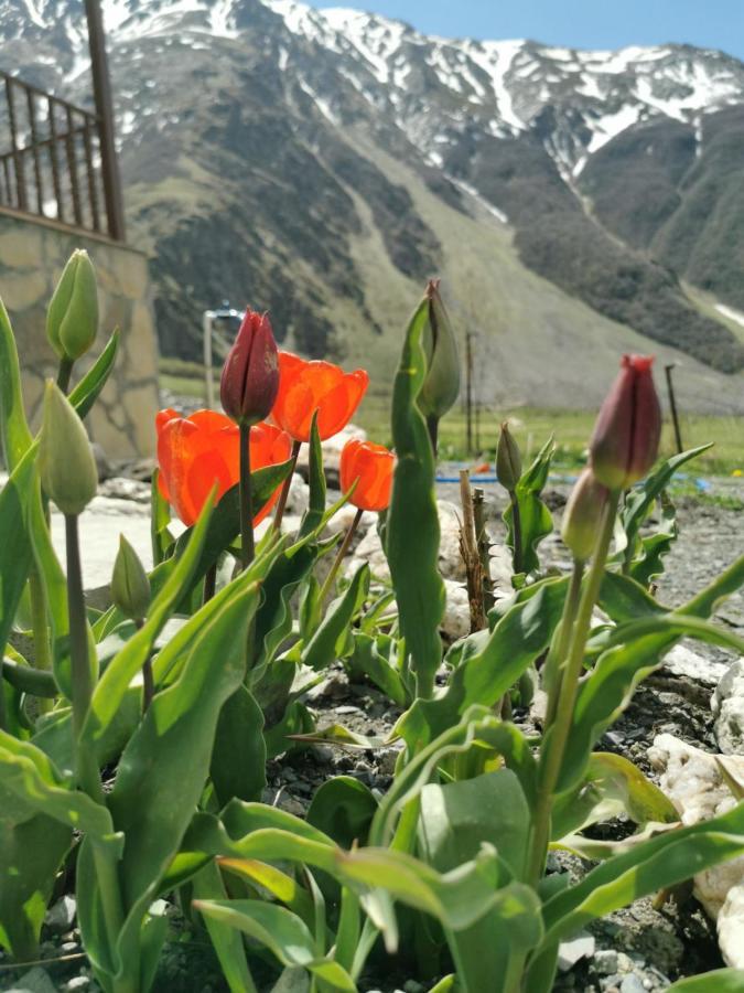 Hotel Diamond Kazbegi Exterior foto